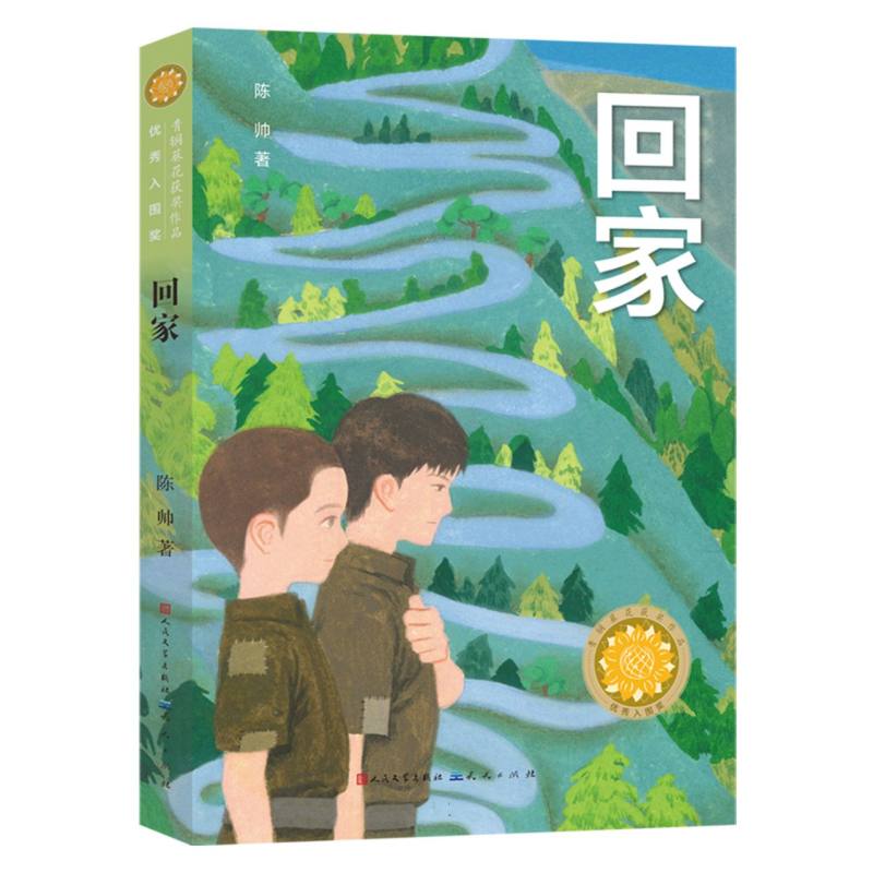 正版包邮 回家 陈帅| 9787501625574 天天