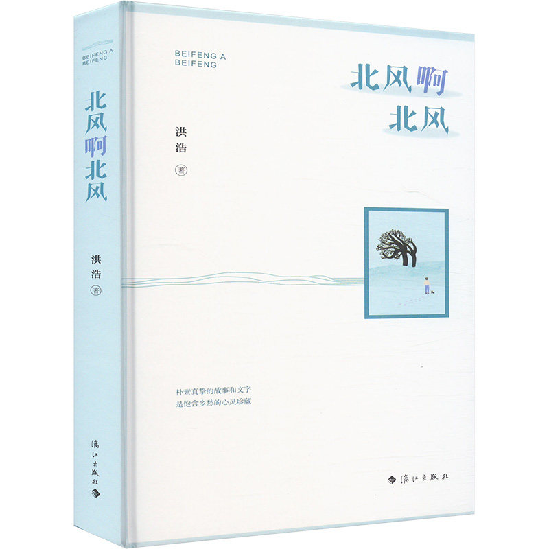 北风啊北风 文学经典作品 情感共鸣之作 北方地域风情 成长治愈故事 细腻文字描写 人生哲理感悟 知名作者新作 9787540792480