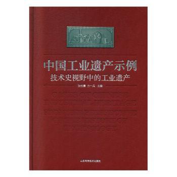 正版包邮 中国工业遗产示例:技术史视野中的工业遗产:from the perspective of the history of technology 张柏春，方一兵主编