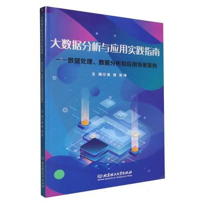 正版包邮 大数据分析与应用实践指南 主编姜丽, 张玮 9787576351521 北京理工大学出版社
