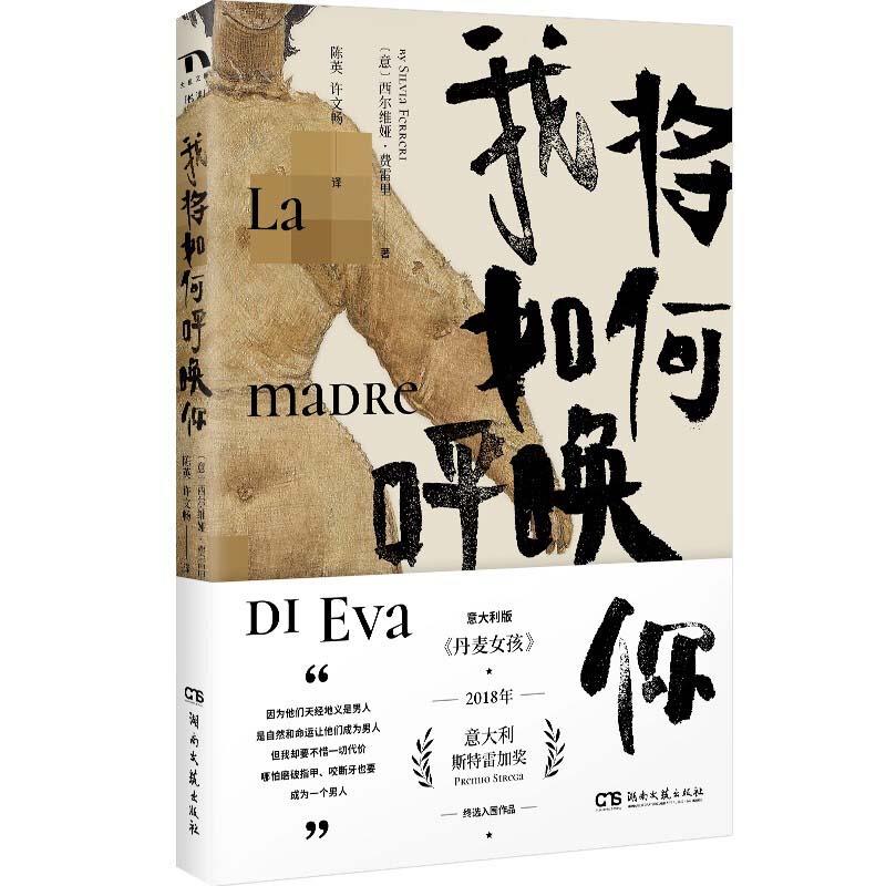 我将如何呼唤你 情感沟通指南 人际关系技巧 心灵治愈读物 经典文学作品 自我认知探索 亲密关系建立 情感表达方法 9787540497231