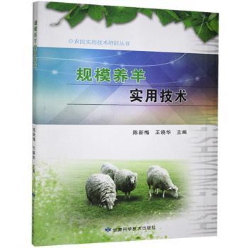 规模养羊实用技术 养羊户 全流程养殖技术 农业专家编著 全彩图解 案例分析 ISBN9787542426574