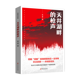 陆峰 天井湖畔 著 9787520552042 社 正版 中国文史出版 包邮