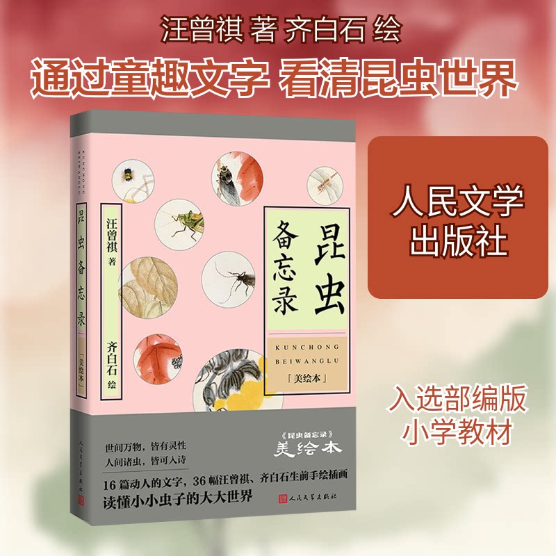 昆虫备忘录（美绘本）小学生昆虫科普书 美绘插图 激发好奇心 培养科学思维 儿童课外读物 9787020187218