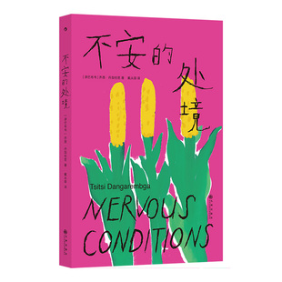 正版包邮 不安的处境 [津巴布韦] 齐西·丹加伦芭 著 戴从容 译 9787522532561 九州出版社