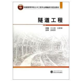 隧道工程 隧道工程教材 施工技术详解 地质条件分析 工程案例解析 实用操作指南 专业工程书籍 设计原理详解 9787307128774