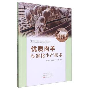正版包邮 优质肉羊标准化生产技术 编者:张子敬//黄永震//王二耀|责编:苏国栋 9787554225707 中原农民