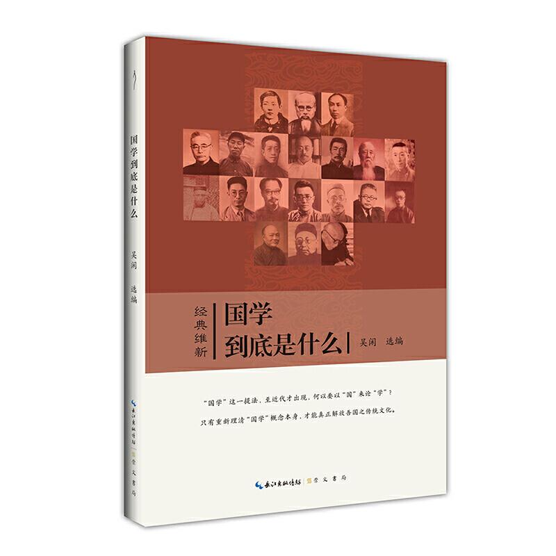 国学到底是什么 国学入门解析 通俗文化解读 经典著作选读 历史脉络梳理 传统文化精髓 青少年启蒙 9787540356101