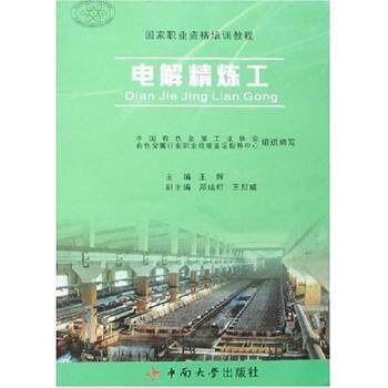 电解精炼工(职业资格培训教程) 职业技能 系统教程 实操案例 考点精讲 核心知识 理论实践9787811054286