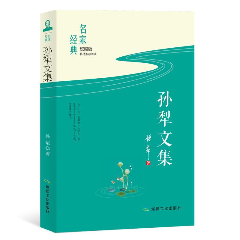 正版包邮 孙犁文集 孙犁著 9787502068455 煤炭工业出版社