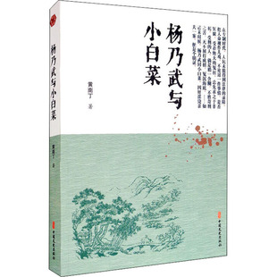 正版包邮 杨乃武与小白菜 [清]黄南丁 著 9787520518710 中国文史出版社