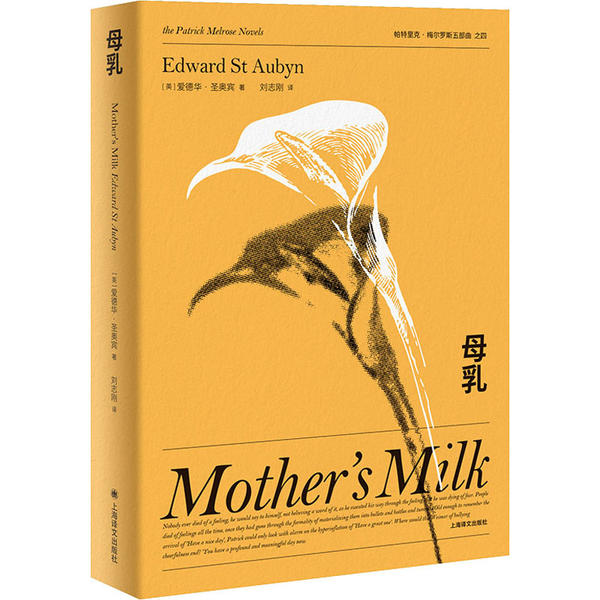 母乳 新手妈妈指南 科学哺乳解析 母乳成分研究 育儿难题解决 哺乳技巧实用 专家解读 营养健康知识 9787532783878