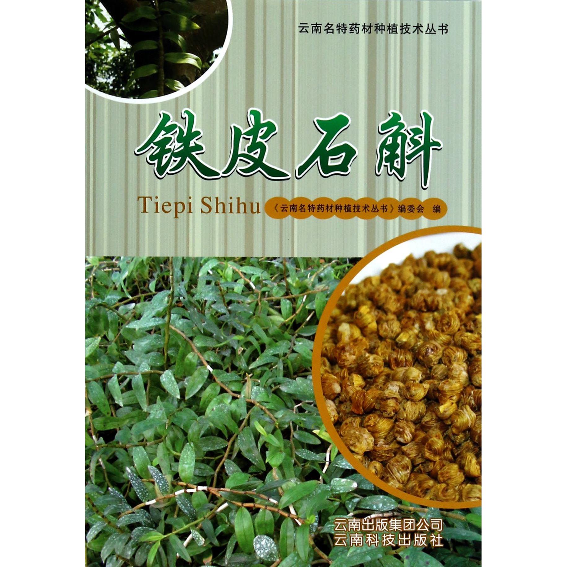 铁皮石斛/云南名特药材种植技术丛书 铁皮石斛种植技术 云南名特药材 种植实操指南 高产栽培技巧 病虫害防治方法 9787541672156