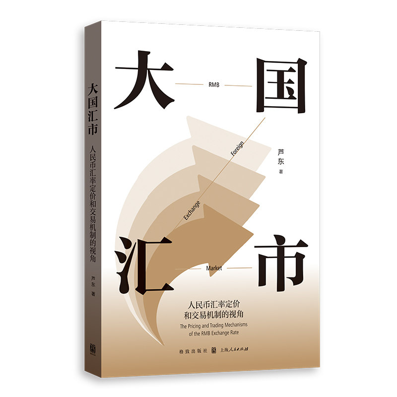大国汇市:人民币汇率定价和交易机制的视角 专业解析 实战案例 市场分析 策略 汇率知识 金融思维9787543236851