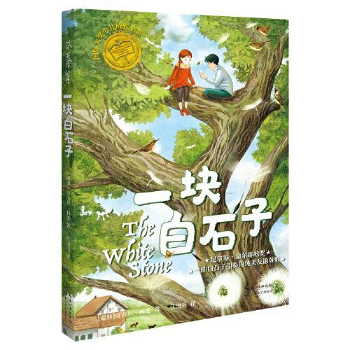 一块白石子（国际大奖少儿成长书系） 国际大奖童书 少儿成长书系 白石子故事 成长启迪读物 品格培养绘本 9787570217724