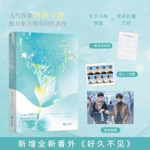 包邮 9787549293841 二锅水.完结篇 烟猫与酒 长江 青春小说 正版