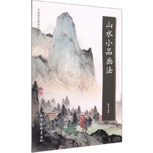正版包邮 山水小品画法/中画名画法解读 袁泽兵 9787554709085 天津杨柳青出版社