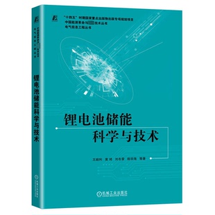 正版包邮 锂电池储能科学与技术 王顺利 等 著 9787111755128 机械工业出版社
