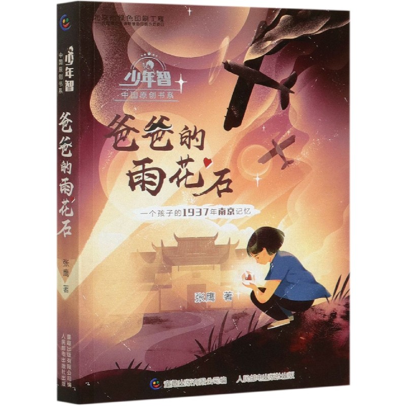 正版包邮 爸爸的雨花石/少年智中国原创书系 张鹰|责编:张璐//徐妍 9787115546609 人民邮电