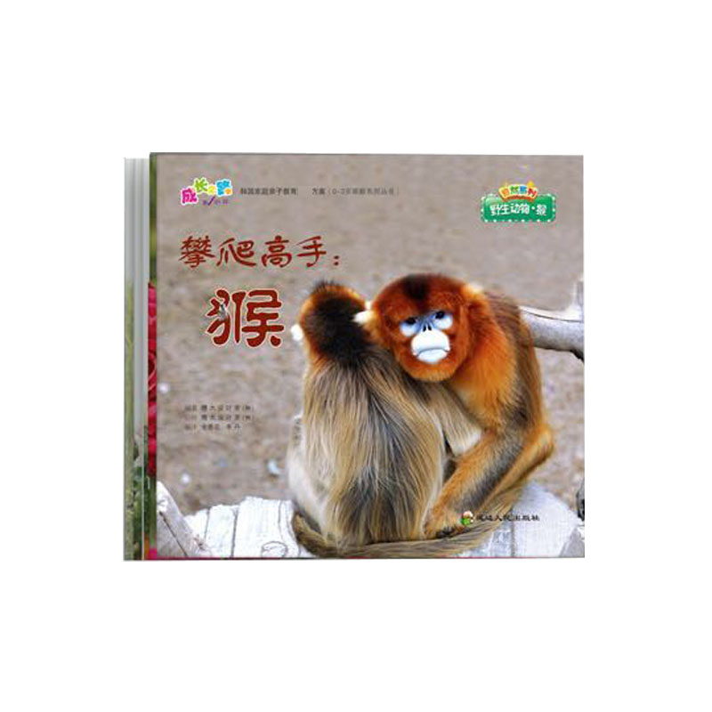 成长之路阶段 自然系列 认识蔬菜 幼儿认知绘本 自然系列启蒙 全彩插图 趣味蔬菜知识 子读 成长之路教材 9787544916349