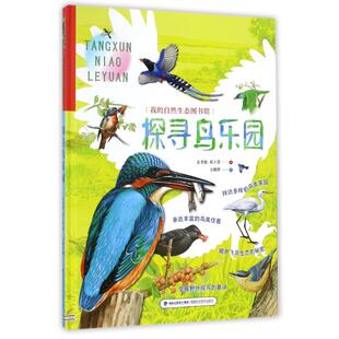 正版包邮 我的自然生态图书馆?探寻鸟乐园/我的自然生态图书馆 袁孝维,邓子菁,王继世 9787533552596 福建科技出版社