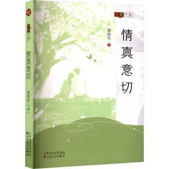 情真意切 情感故事集 真挚情感表达 心灵治愈之作 人生感悟散文 经典情感散文 情感共鸣瞬间 人际关系智慧 9787530691649