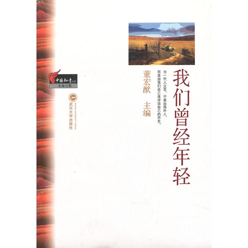 我们曾经年轻 青春回忆 怀旧时光 年少岁月 旧日故事 成长启示 心灵共鸣 人生感悟 时代印记 9787307106963