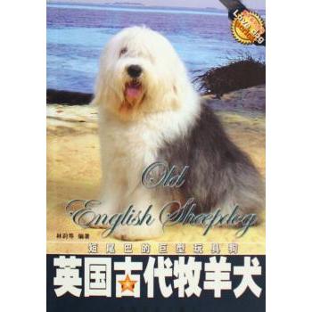 英国古代牧羊犬 宠物爱好者萌宠科普书 新手养犬技巧 精美插图 历史文化解析 9787109111318