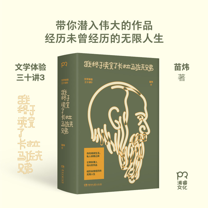 正版包邮 我终于读完了卡拉马佐夫兄弟 苗炜| 9787572619496 湖南文艺
