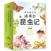 改编 海东 全12册 海豚传媒 出品 米笑等 绘 正版 季 社 包邮 法布尔昆虫记 9787558330247 新世纪出版 画给孩子