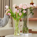 亚克力花瓶透明防摔富贵竹水培插花水养鲜花高级感ins风摆件客厅