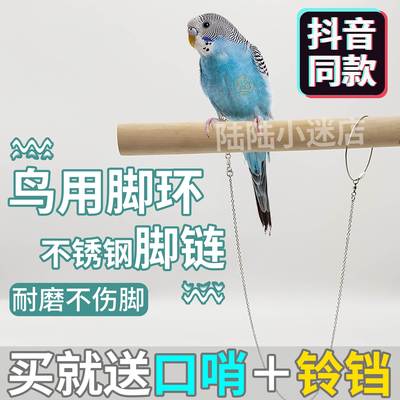 放飞绳鹦鹉脖套玄凤虎皮牡丹蜡嘴伯劳八哥锁链遛小鸟轻型脚环用品