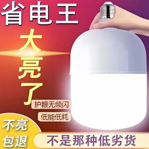 【厂家直销特价】E27螺口灯泡家用螺口球泡厂家直销整箱批发甩卖