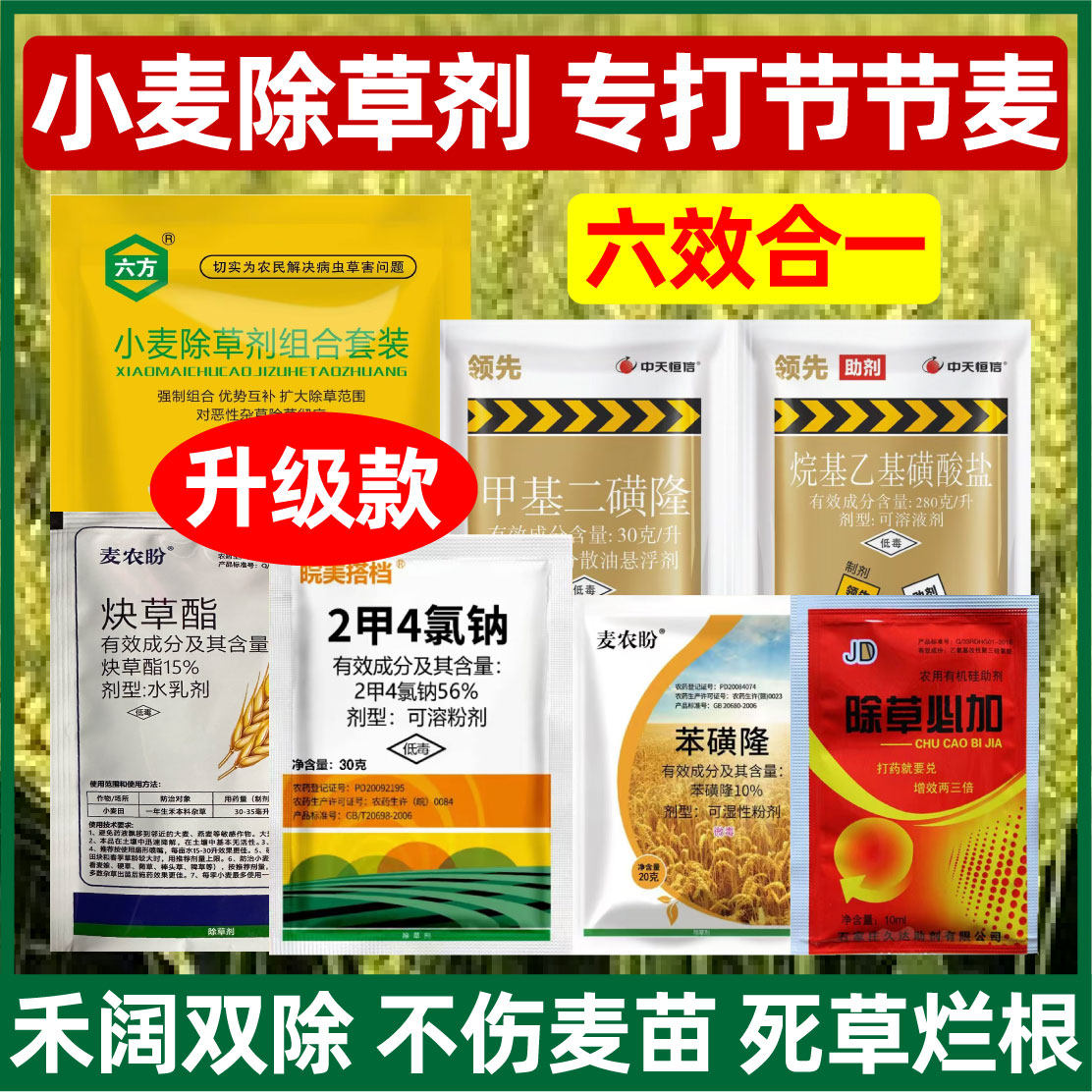 小麦田苗后专用除草小麦苗后除草专用剂烂根剂节节麦野燕麦播娘蒿