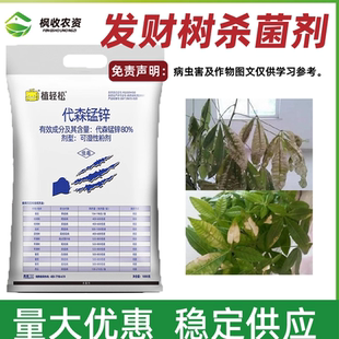 发财树黄叶枯叶烂根药叶斑病根腐病炭疽发财树病害农药杀菌剂专用