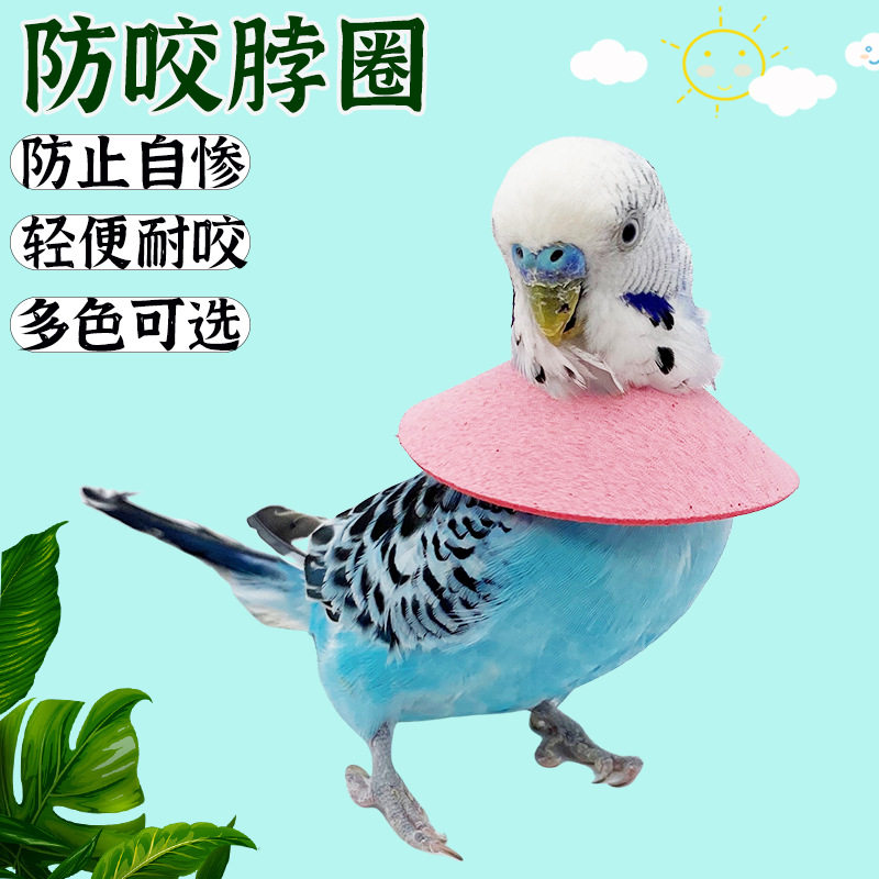小鸟防咬脖圈鹦鹉伊丽莎白圈斗篷防止咬毛啄毛受伤保护项圈鸟围脖