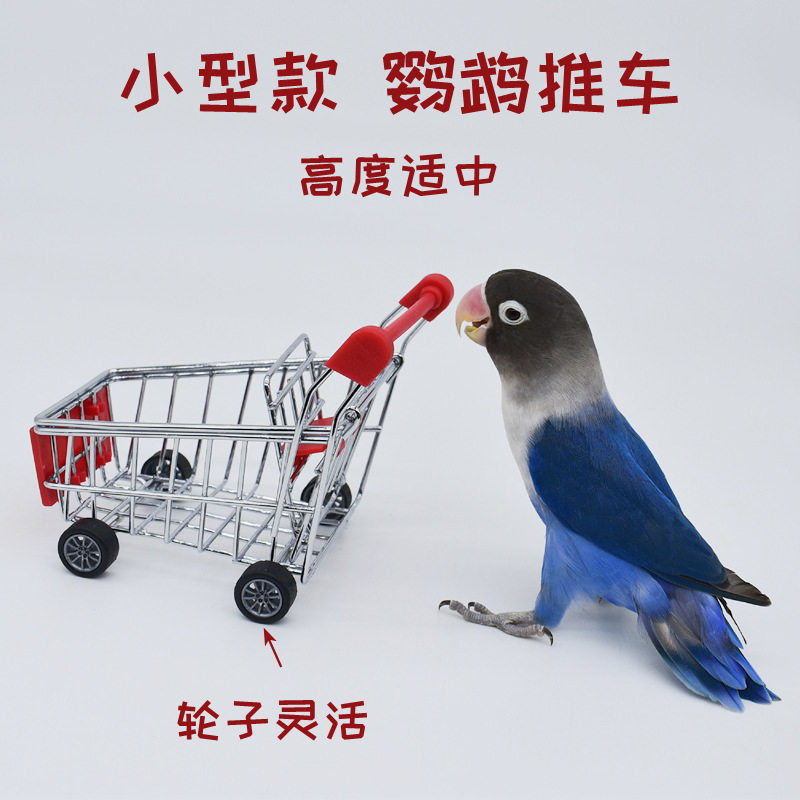 鹦鹉鸟玩具推车小型小号购物车虎皮牡丹互动道具宠物鹦鹉训练玩具