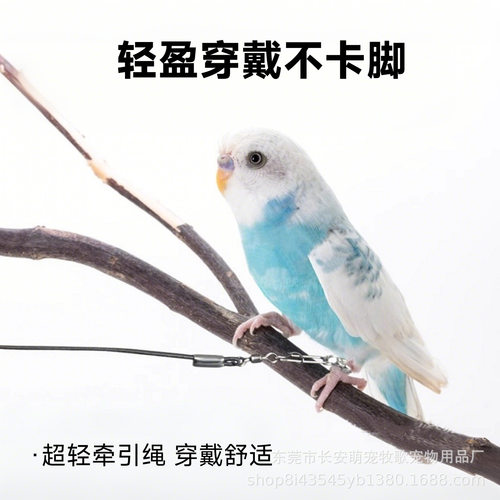 鹦鹉放飞绳不伤脚超轻牵引绳虎皮玄凤牡丹小太阳脚环脚链遛鸟