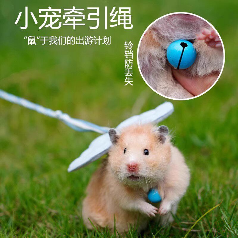 新款【鼠鼠我呀也能出门啦】小仓鼠外出牵引绳防咬挣扎可爱背心式