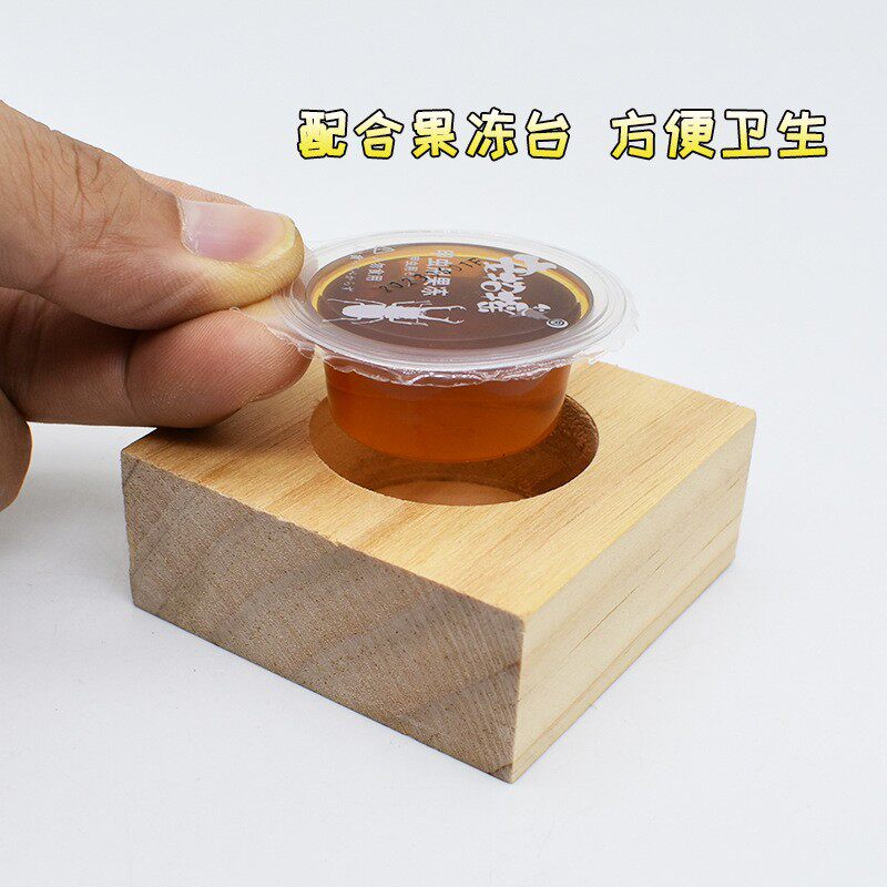 甲虫果冻独角仙果冻昆虫食物天牛兜虫蛋白幼成虫大扁蚂蚁锹甲果冻