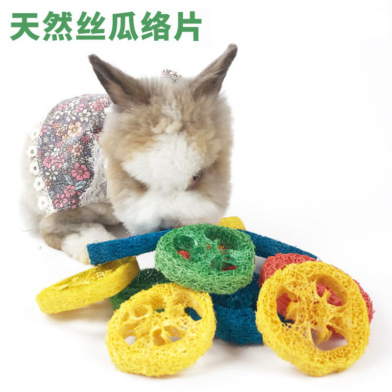 丝瓜络片天然仓鼠磨牙洁齿玩具小宠物猫狗啃咬鹦鹉零食口腔清洁
