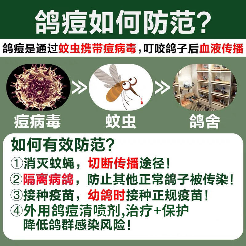 鸽痘清鸽瘤鸽痘一扫光赛鸽嘴角眼皮脚趾长痘外用喷剂鸽子