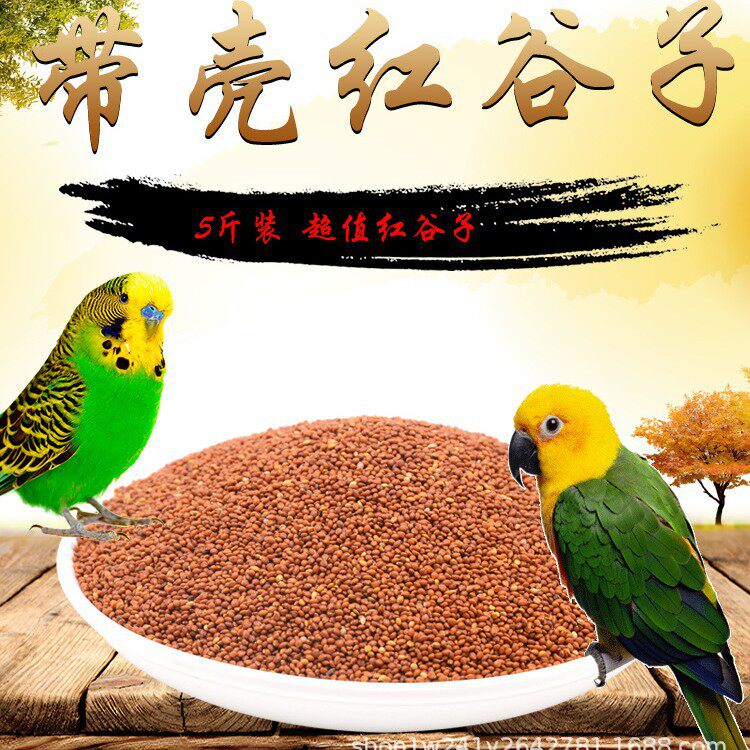 红谷子带壳小米虎皮牡丹玄凤文鸟鸟食雀鸟粮鸟饲料鹦鹉增亮毛色