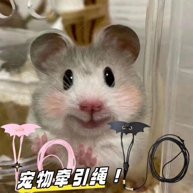 仓鼠牵引绳遛鼠绳金丝熊荷兰猪兔子外出用品大全防挣脱小宠物
