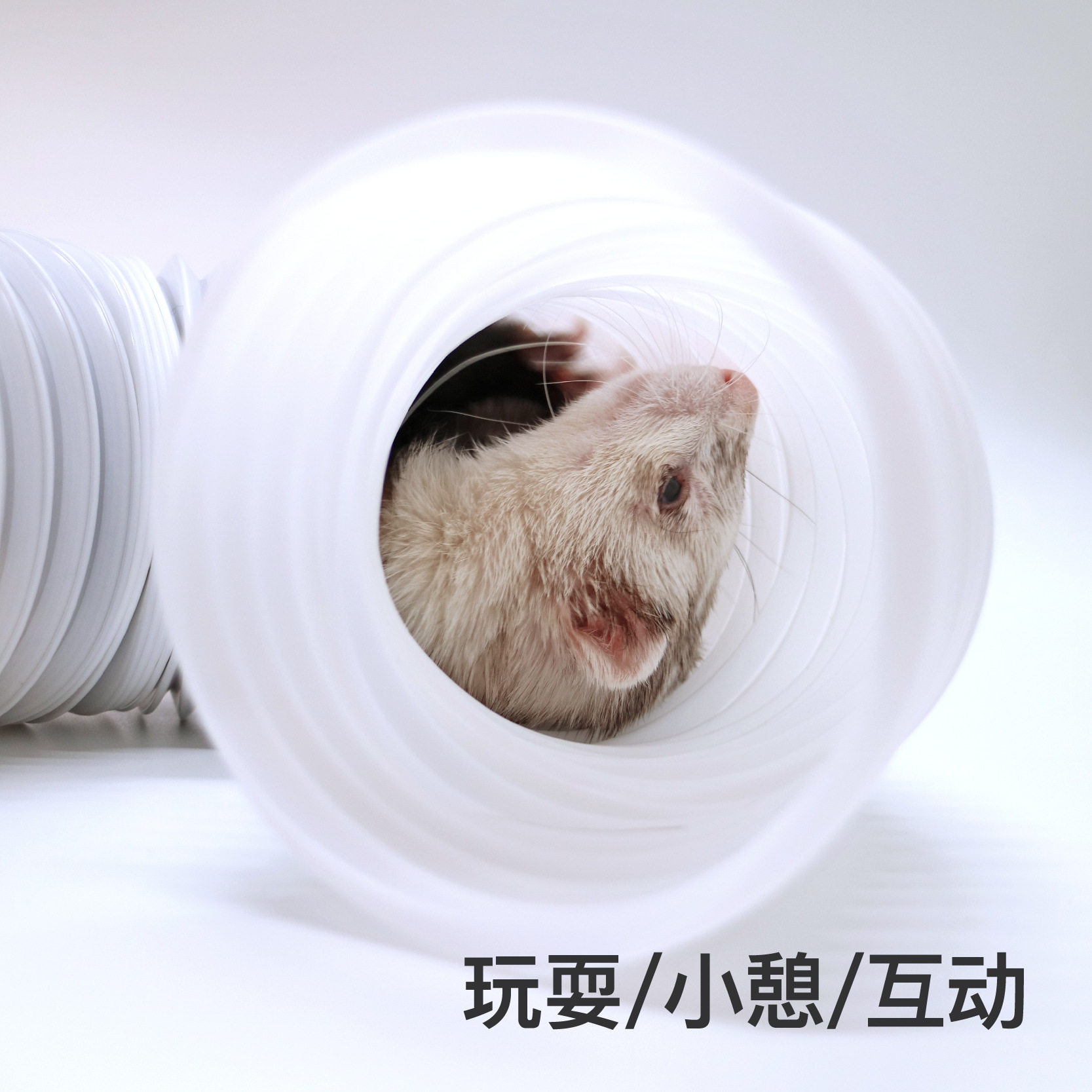 【官方正品】安哥鲁欢乐自嗨隧道安格鲁雪貂玩具小型宠物貂玩具
