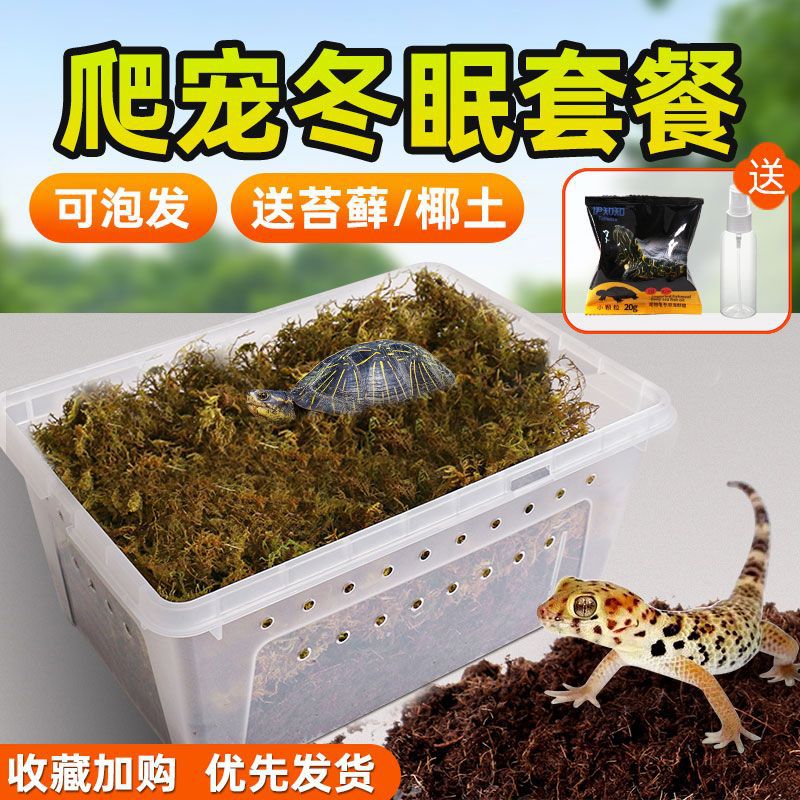爬虫饲养盒冬眠箱乌龟蜘蛛角蛙蜗牛守宫饲养爬宠箱乌龟缸冬眠生态