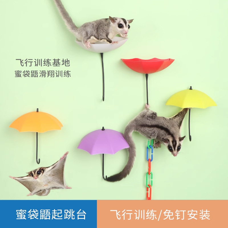 蜜袋鼯飞行跳台起飞站台自粘雨伞平台攀爬链训练起飞玩具用品跳台