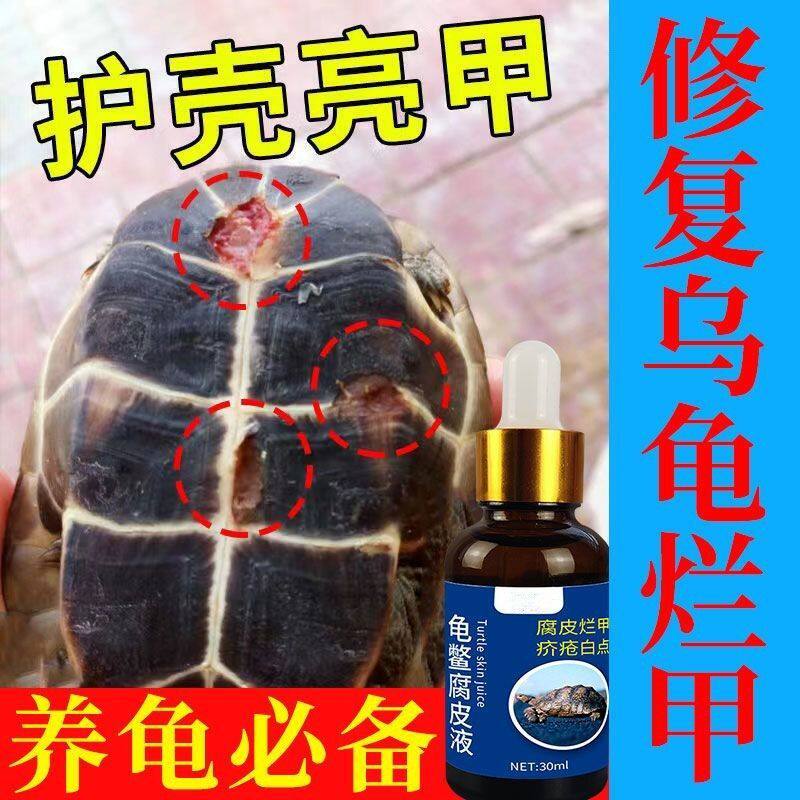乌龟烂甲不伤龟乌龟烂甲咬伤龟壳白斑白点外用滴液养龟