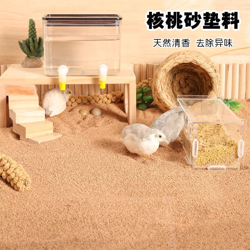 天然仓鼠核桃砂垫料芦丁鸡饲养箱鸟窝除臭小宠物金丝熊花枝鼠造景