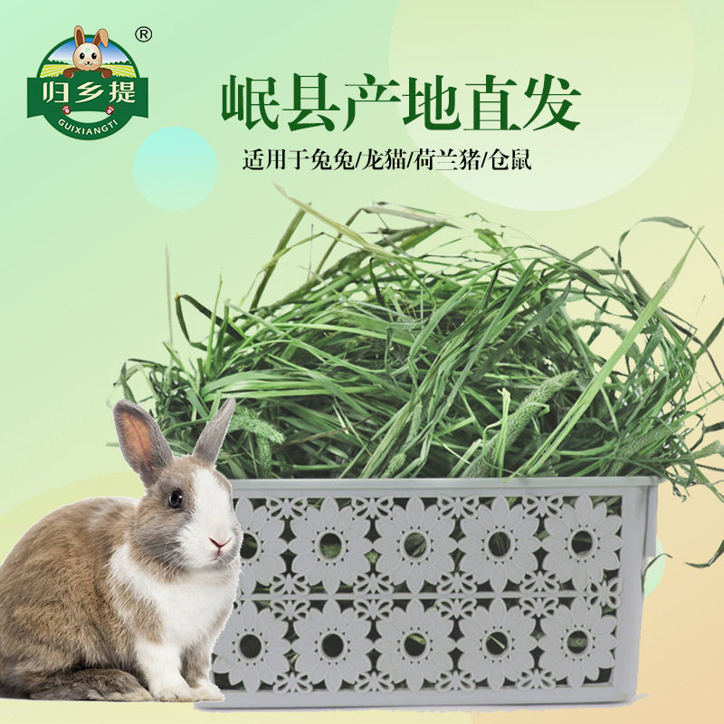 提摩西草干草特优北提龙猫荷兰猪豚鼠宠物牧草饲料小宠兔粮